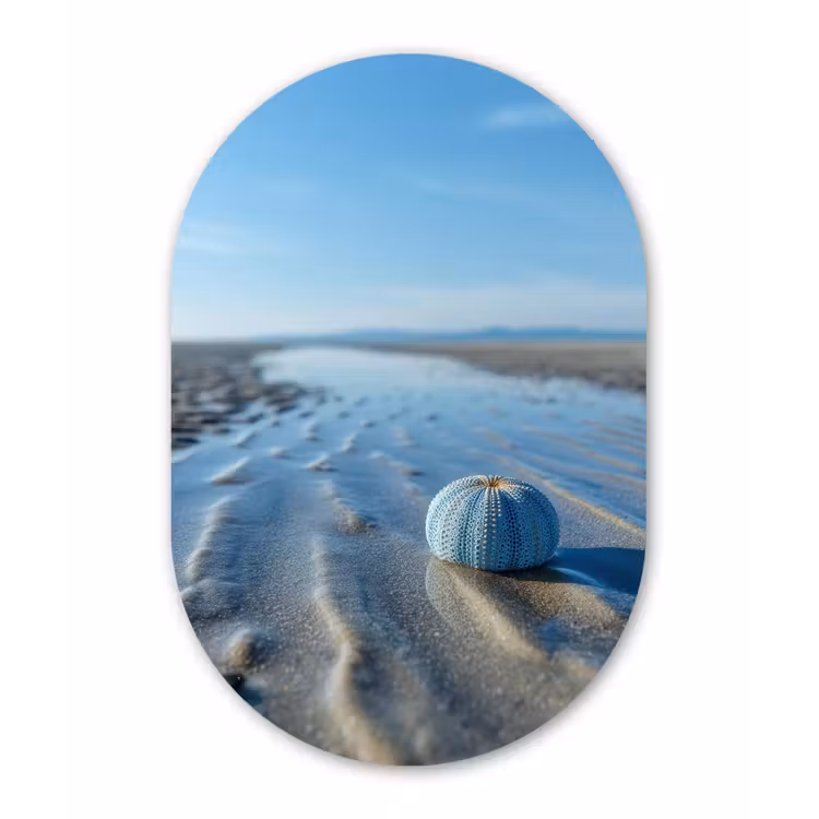 Wandoval Glas – Strand - Schild - Water - Blauw — 1