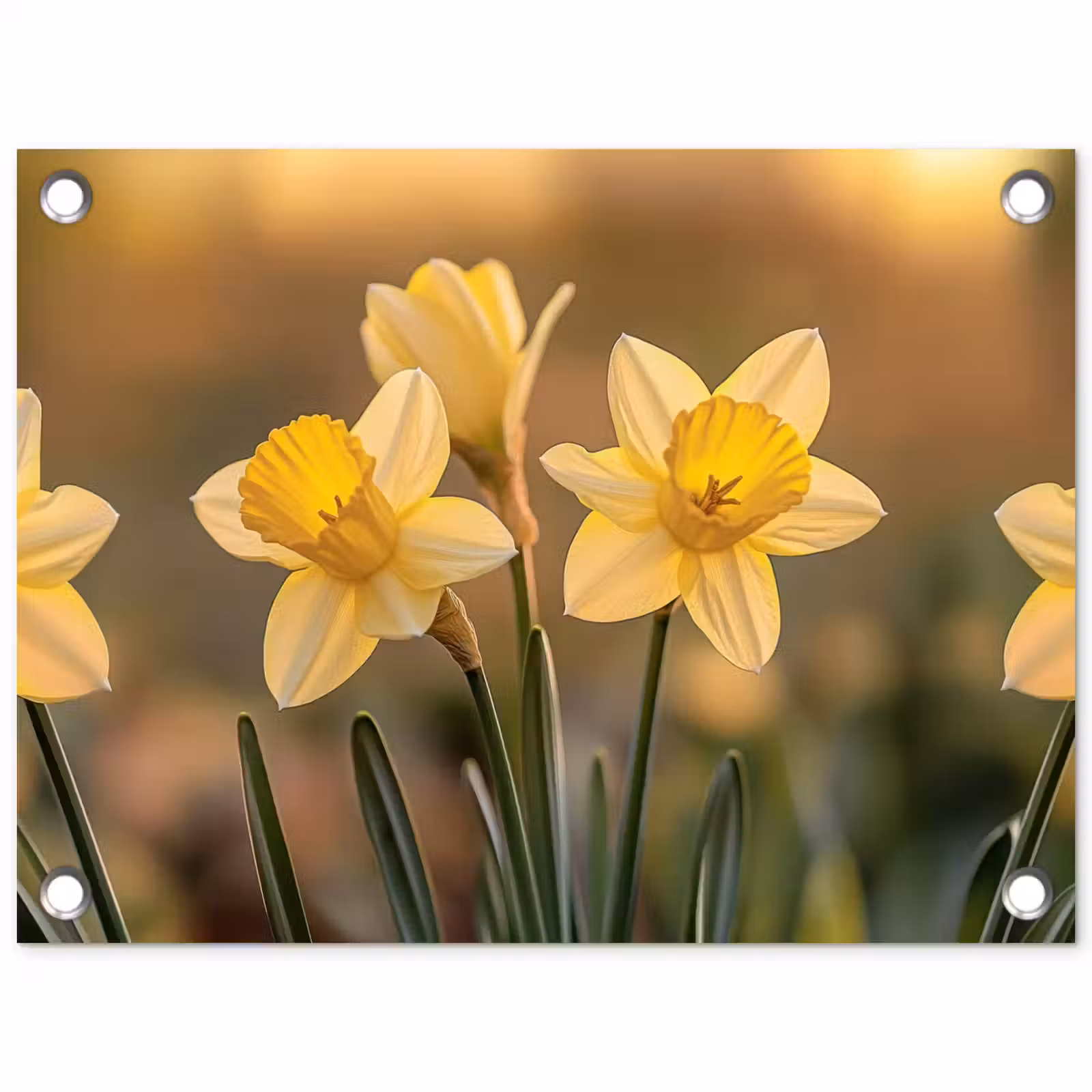 Tuinposter - Bloemen - Geel - Wazig — 1