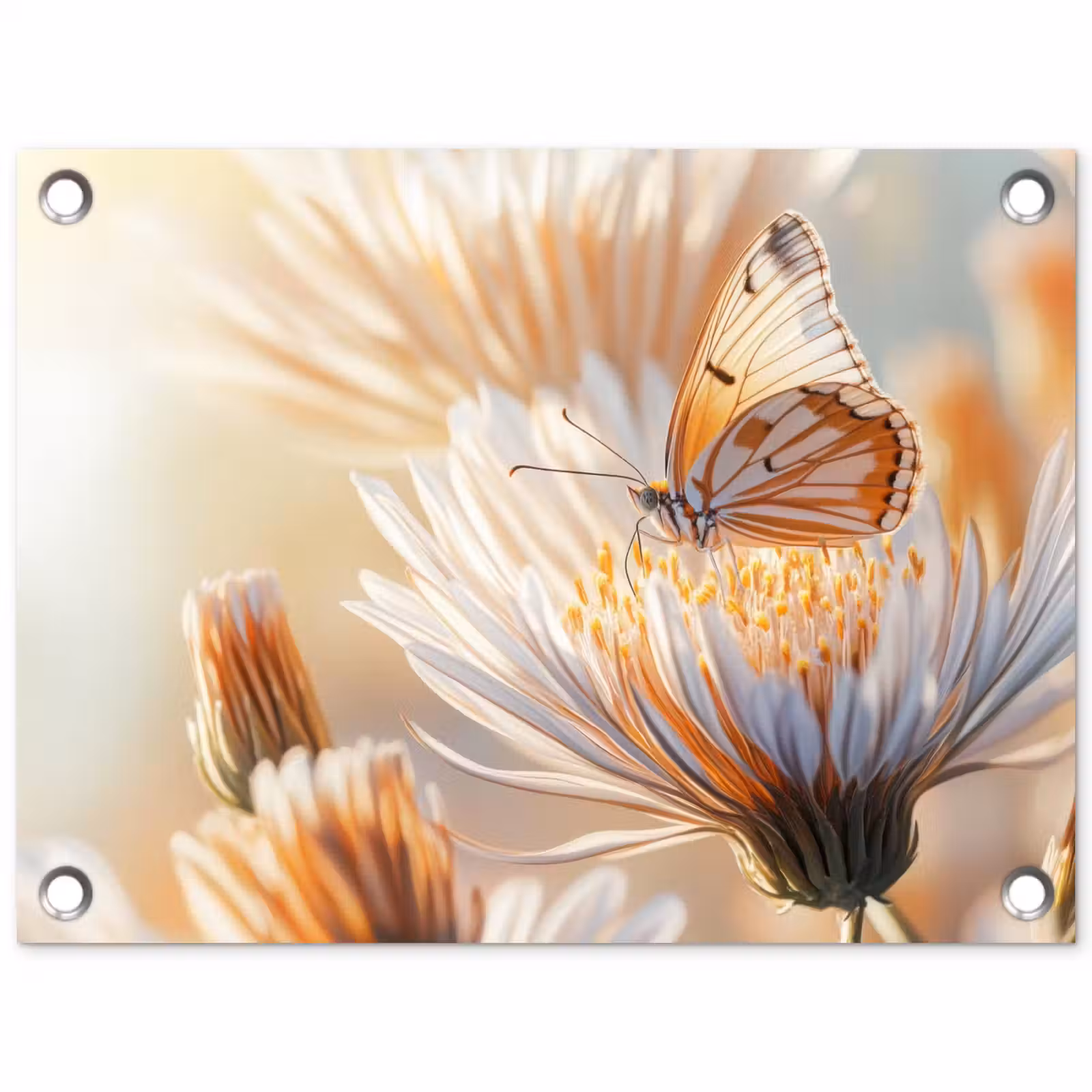 Tuinposter - Vlinder - Bloem - Oranje — 1