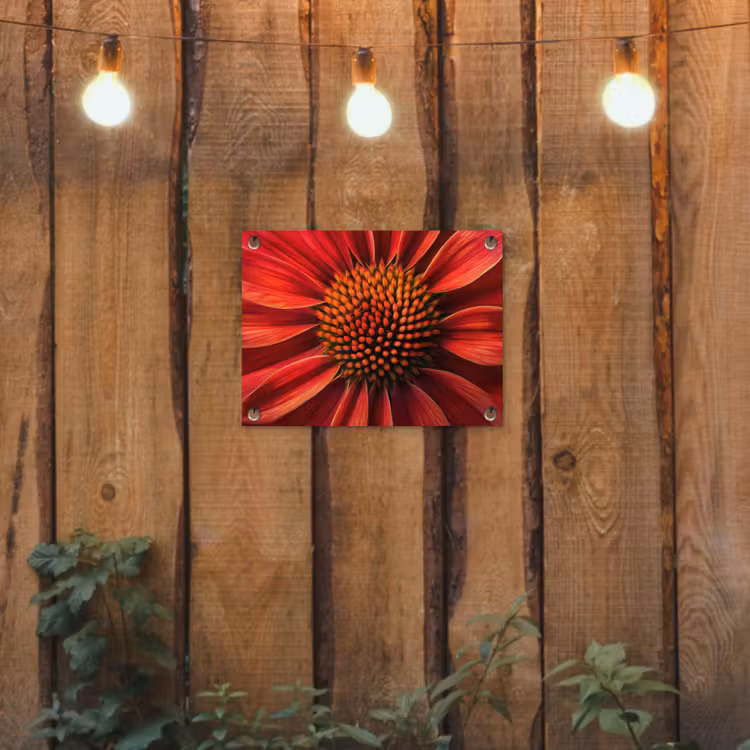 Tuinposter - Close up - Bloem- Rood — 2