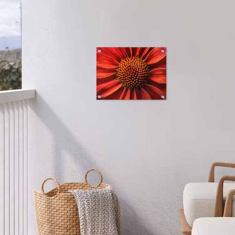 Tuinposter - Close up - Bloem- Rood — 3
