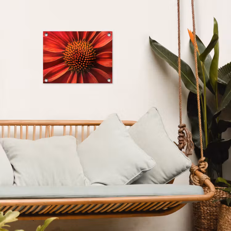 Tuinposter - Close up - Bloem- Rood — 5