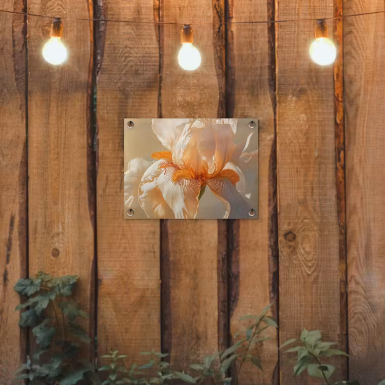 Tuinposter - Close up - Oranje - Iris — 2