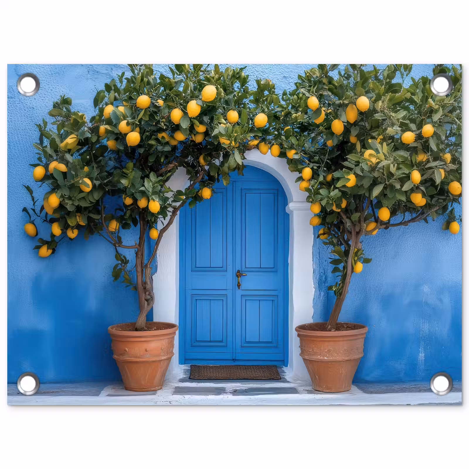Tuinposter - Citroenbomen - Geel - Deur - Potten — 1