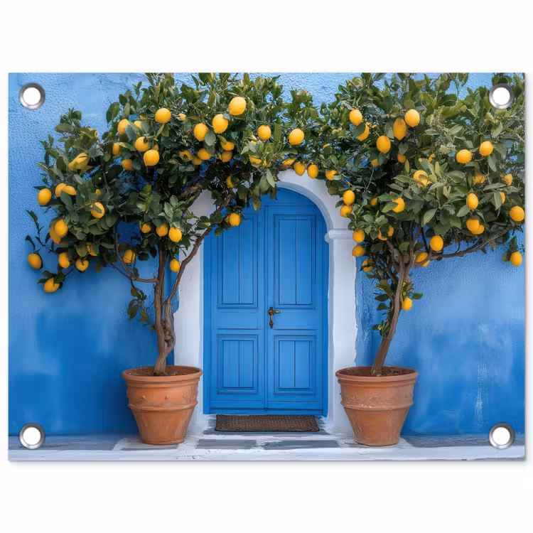 Tuinposter - Citroenbomen - Geel - Deur - Potten — 1
