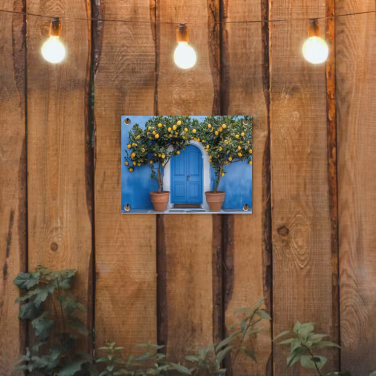 Tuinposter - Citroenbomen - Geel - Deur - Potten — 2