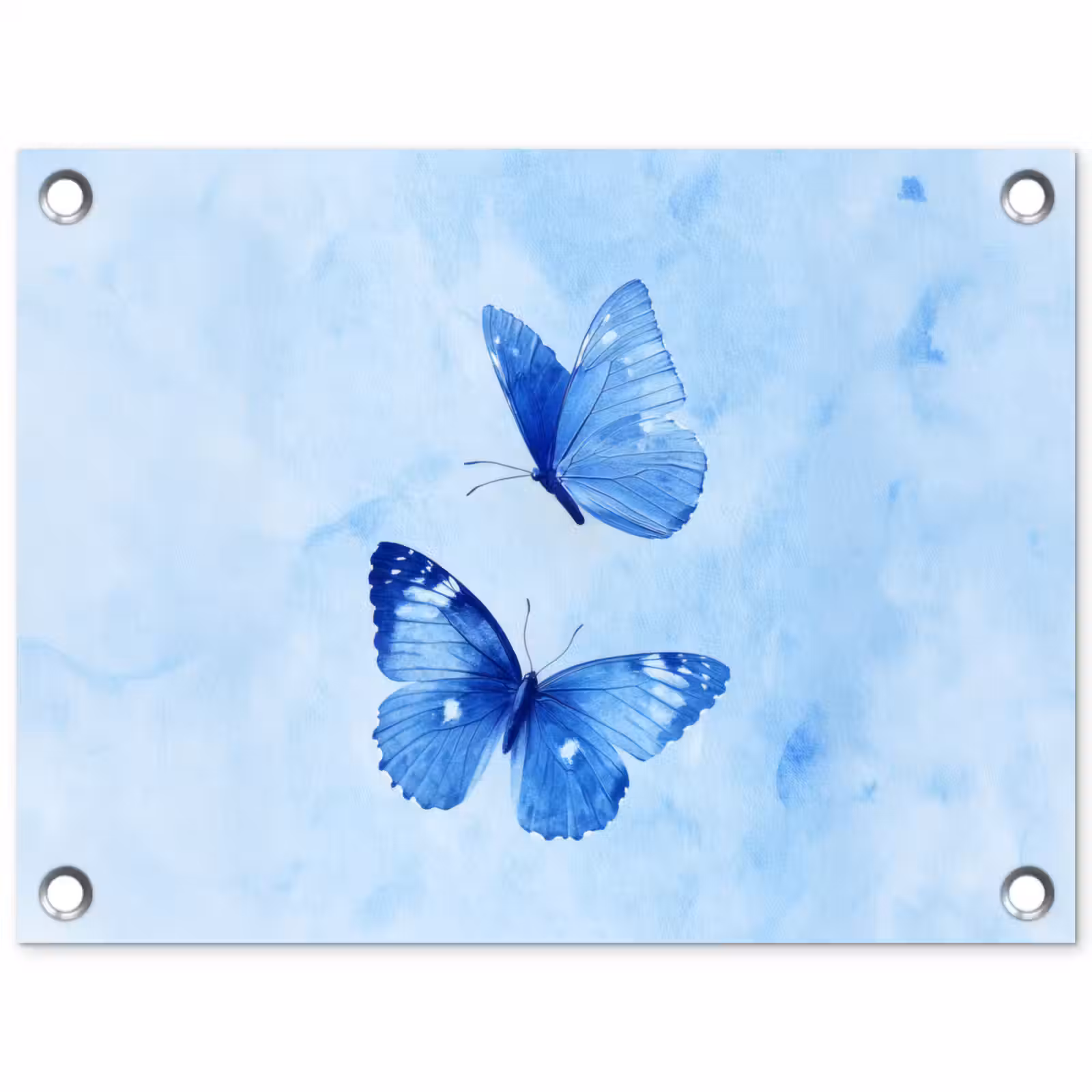 Tuinposter - Vlinders - Sierlijk - Blauw — 1