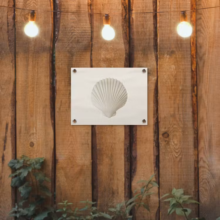Tuinposter - Schelp - Minimalistisch - Wit — 2