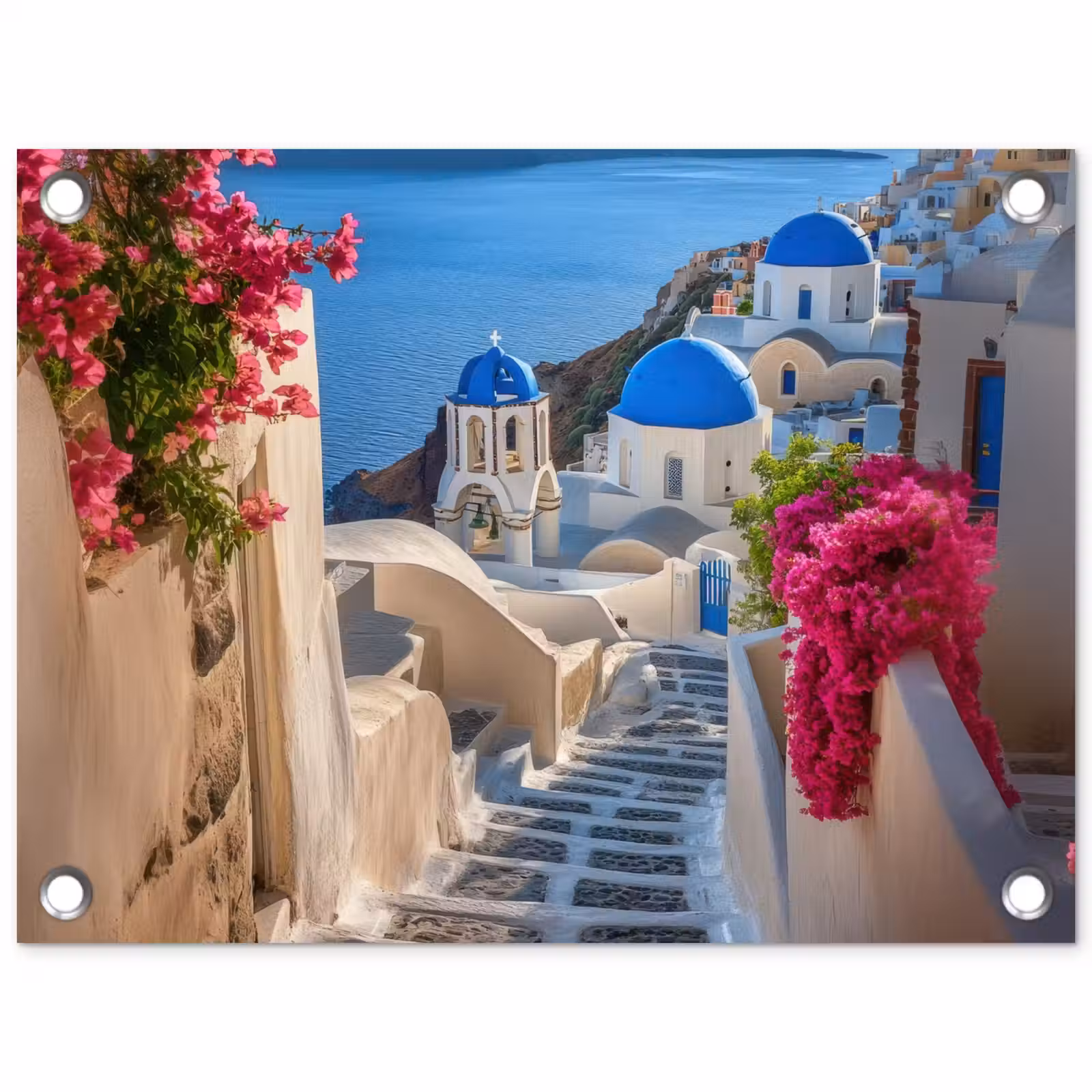 Tuinposter - Santorini - Bloemen - Griekenland — 1