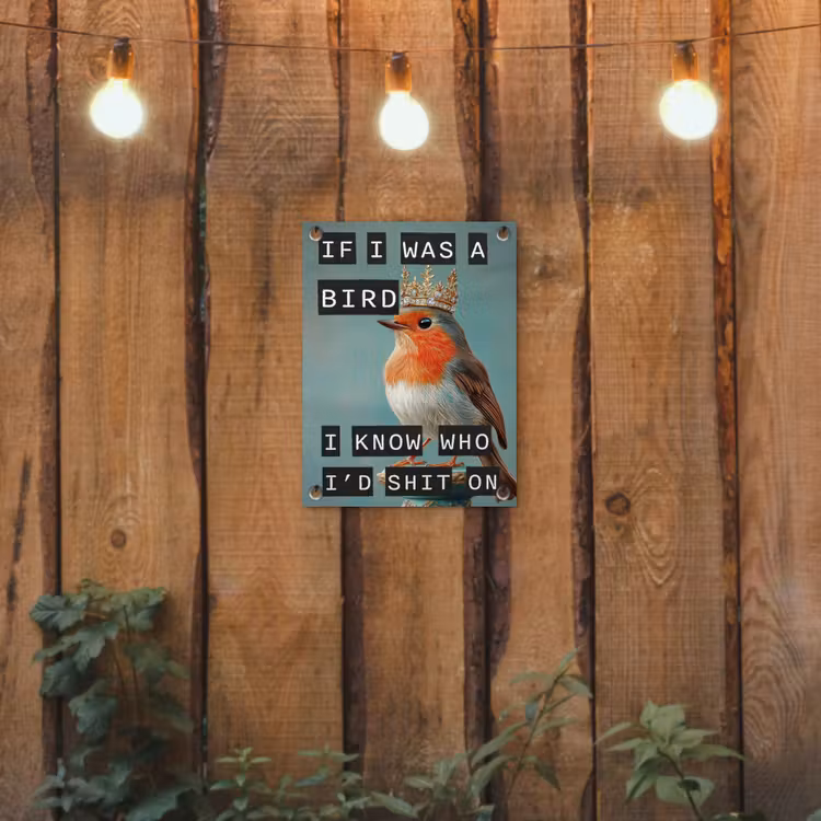Tuinposter - Roodborstje - Vogel - Blauw - Decoratie — 2