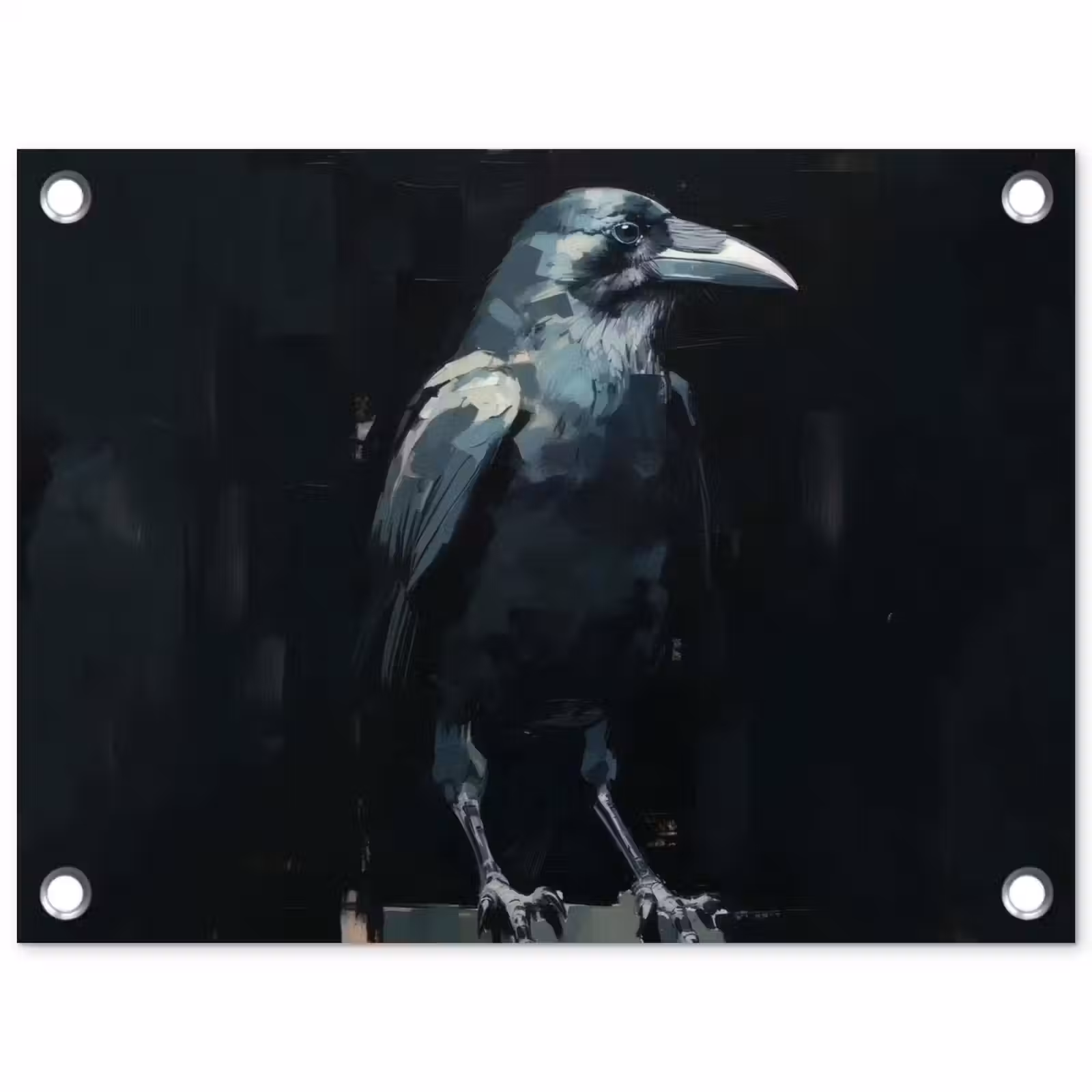 Tuinposter - Raaf - Vogels - Zwart — 1