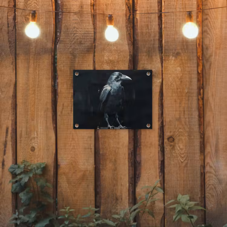 Tuinposter - Raaf - Vogels - Zwart — 2