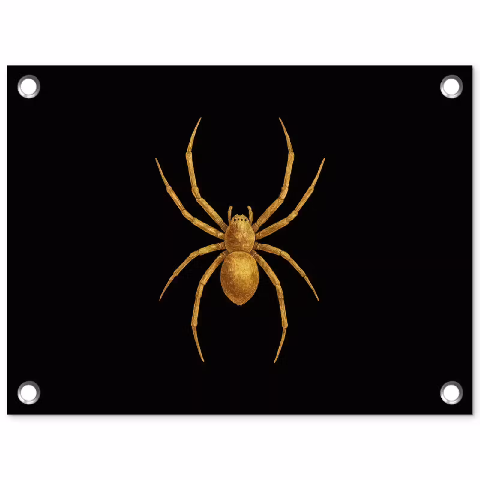 Tuinposter - Spin - Goud - Minimalistisch - Poten — 1