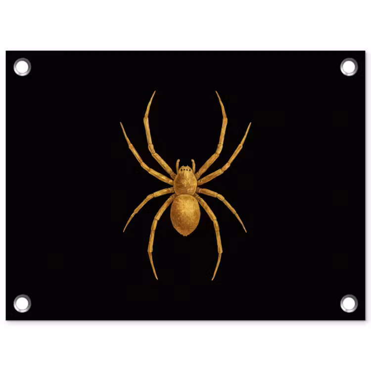 Tuinposter - Spin - Goud - Minimalistisch - Poten — 1