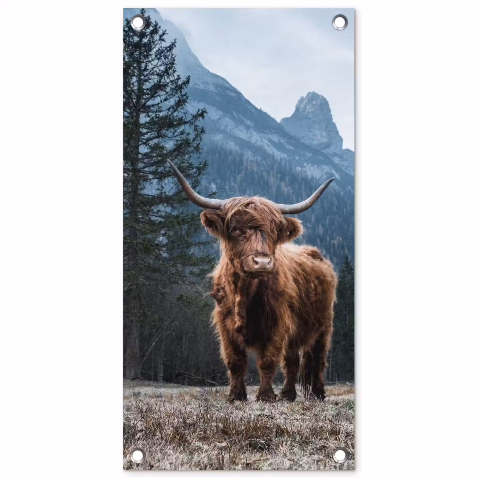 Tuinposter - Hooglander voor Bergen — 1