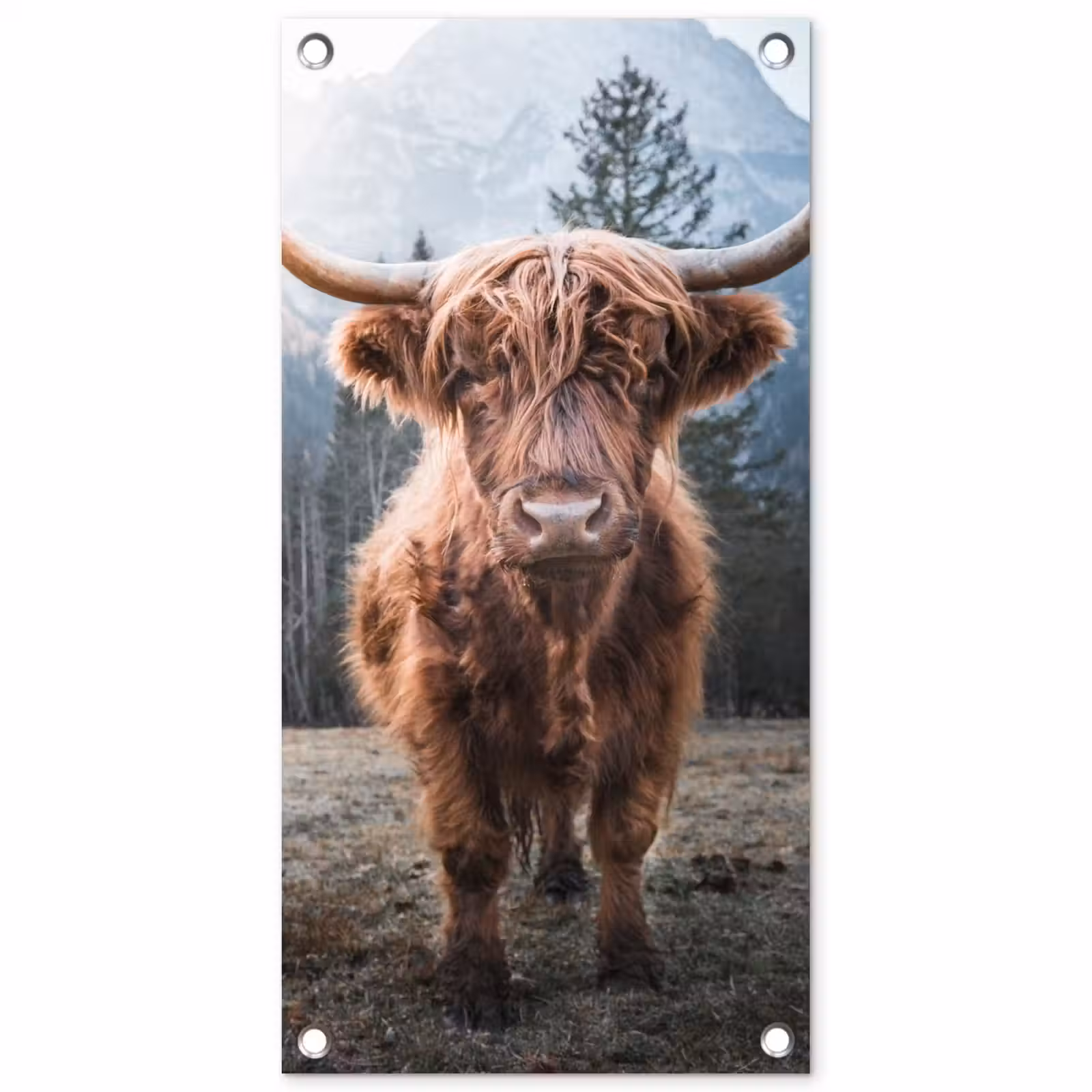 Tuinposter - Imposante Hooglander in de Natuur — 1