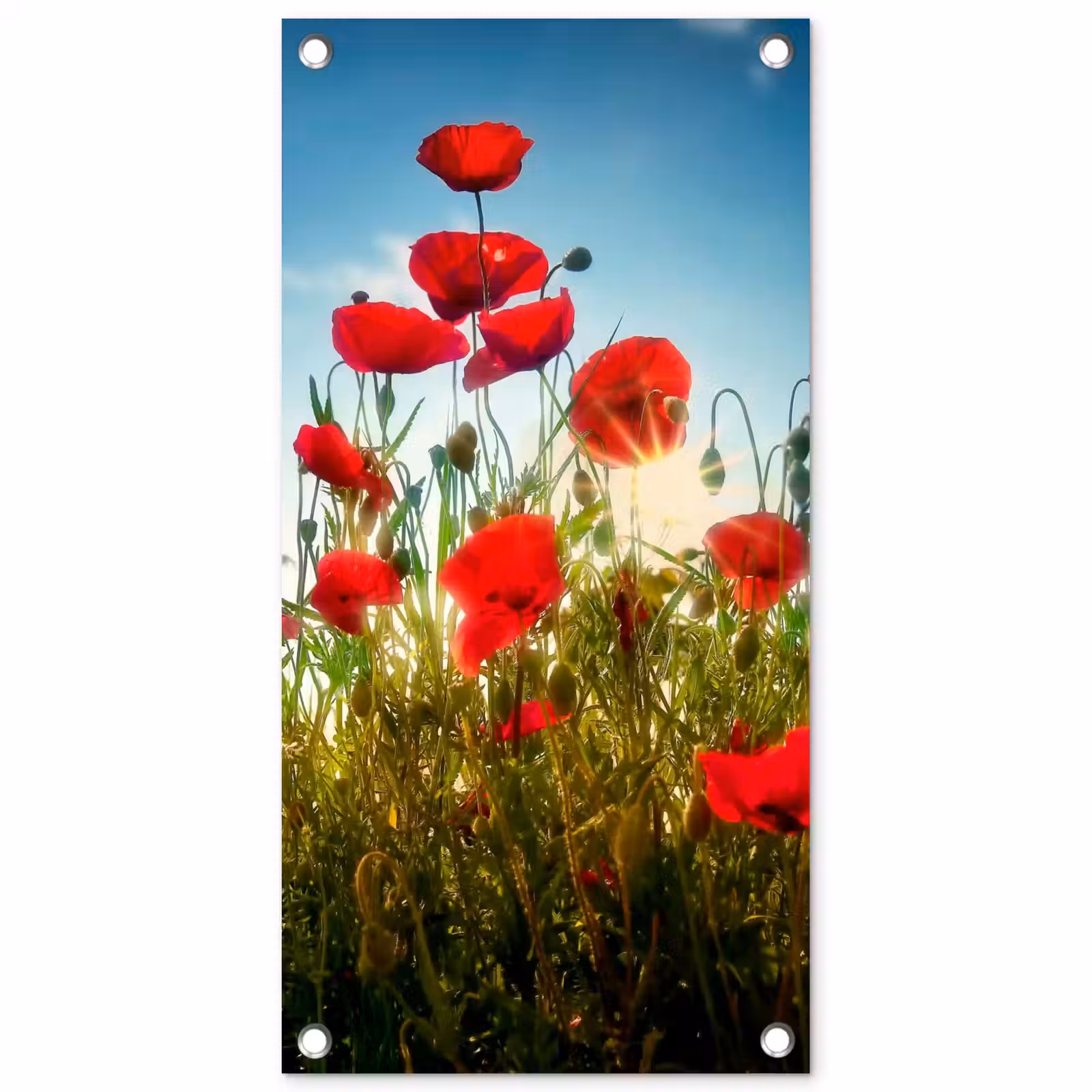 Tuinposter - Rode klaprozen tegen de hemel — 1