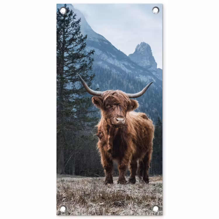 Tuinposter - Hooglander voor Bergen — 1