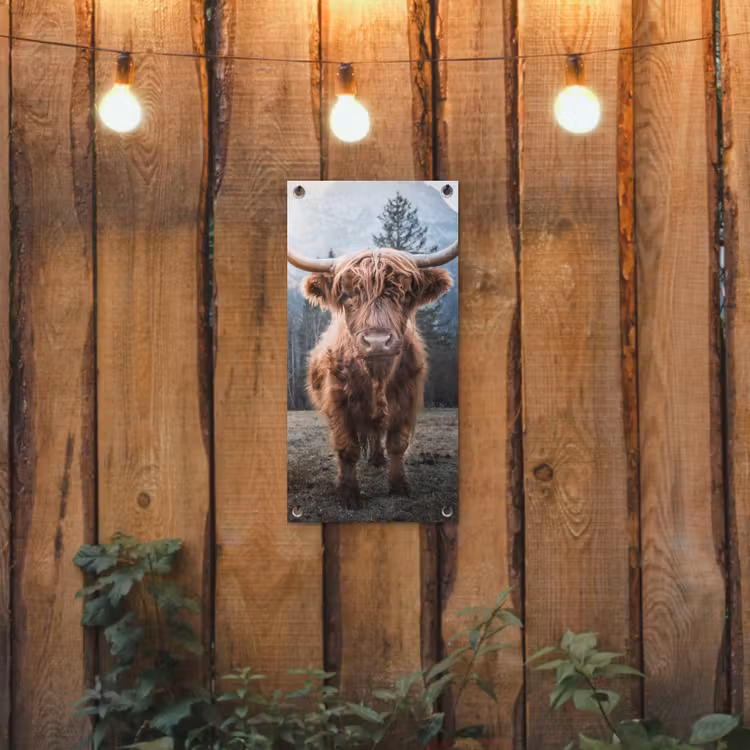 Tuinposter - Imposante Hooglander in de Natuur — 2