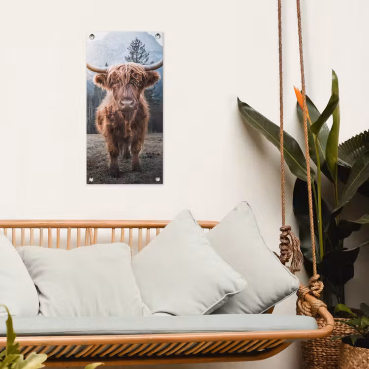 Tuinposter - Imposante Hooglander in de Natuur — 5