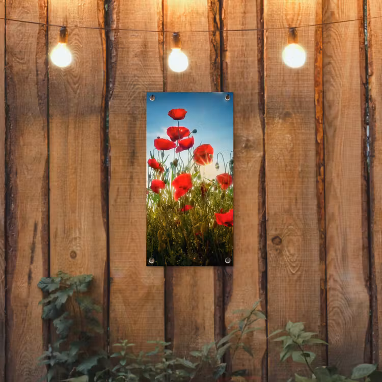 Tuinposter - Rode klaprozen tegen de hemel — 2