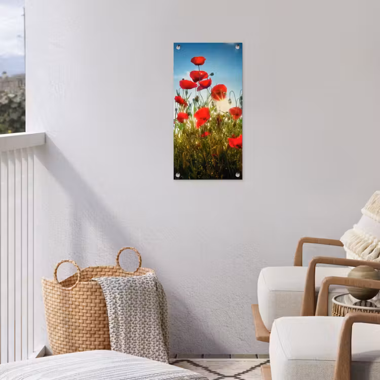 Tuinposter - Rode klaprozen tegen de hemel — 3
