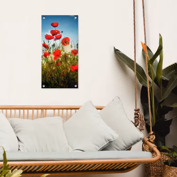 Tuinposter - Rode klaprozen tegen de hemel — 5