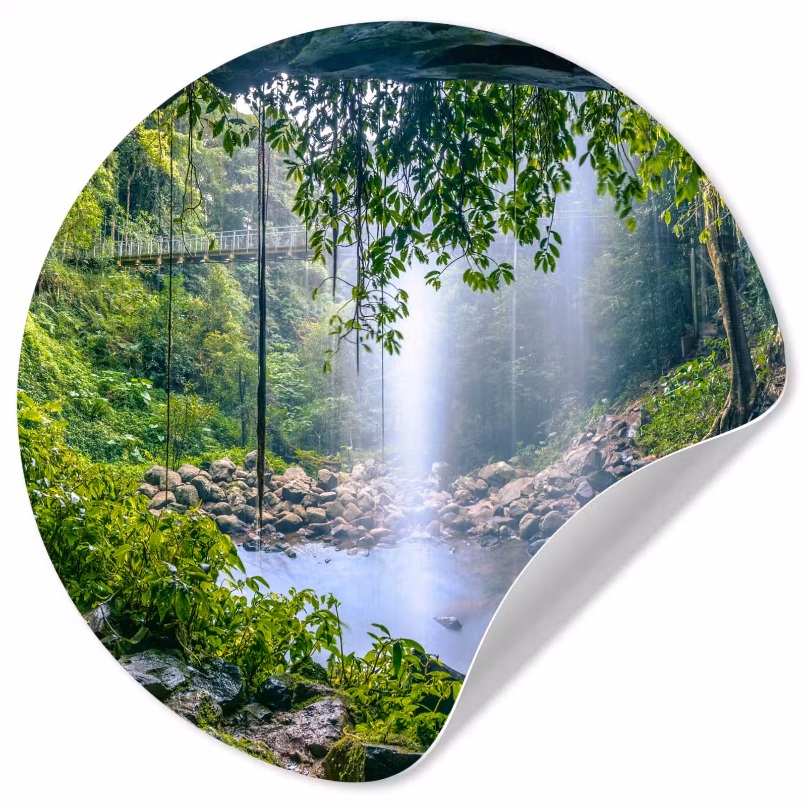 Behangcirkel - Jungle - Regenwoud - Water - Waterval - Planten — 1
