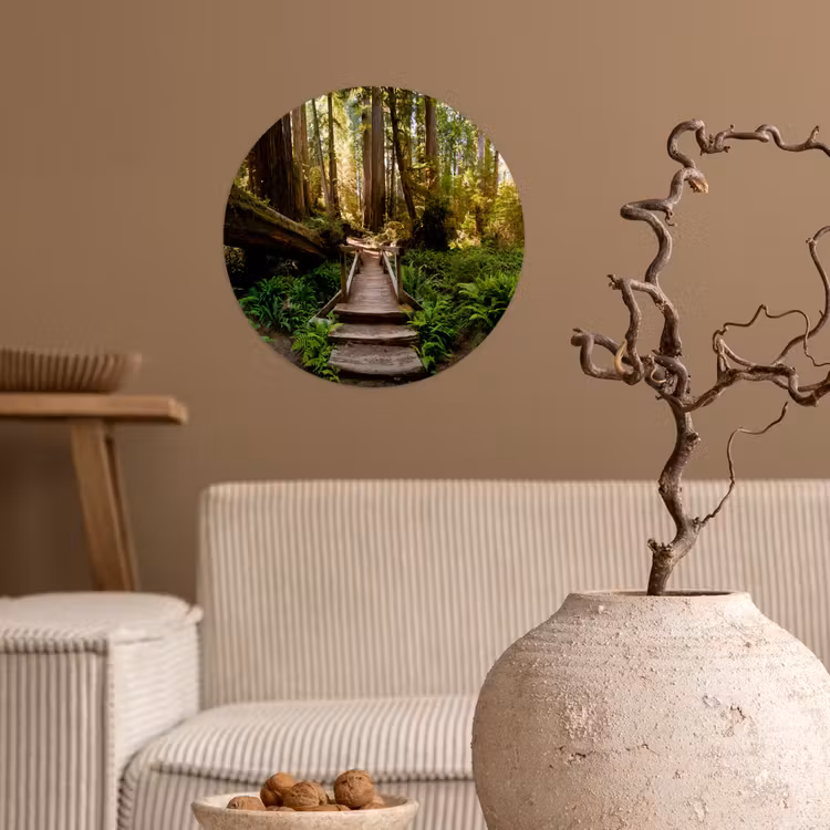 Behangcirkel - Jungle - Natuur - Trap - Bomen — 2