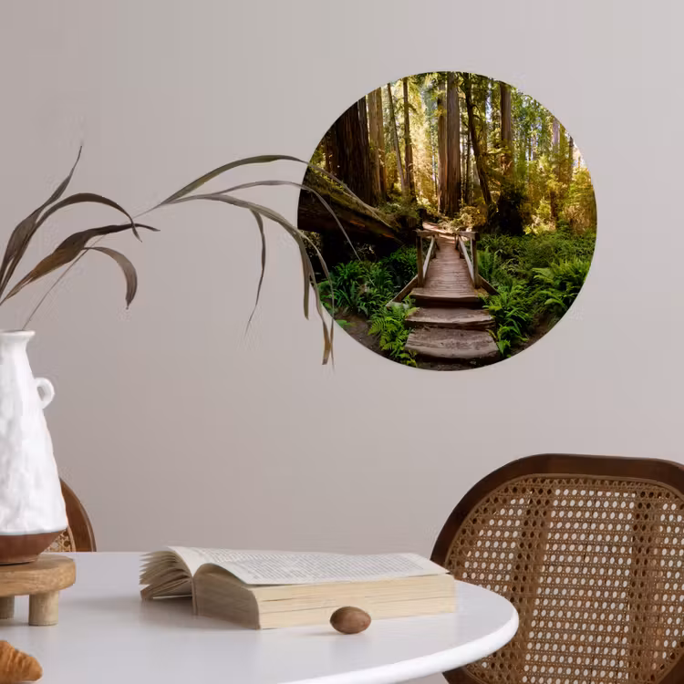 Behangcirkel - Jungle - Natuur - Trap - Bomen — 4