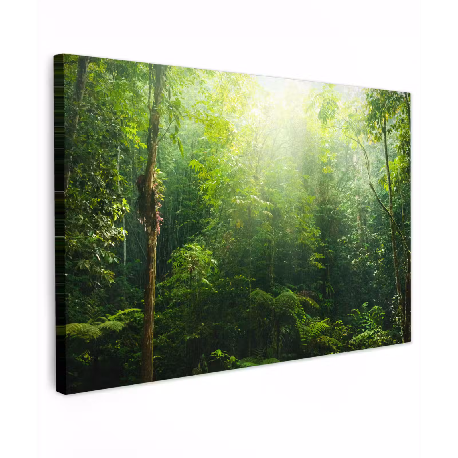 Canvas schilderij - Jungle - Zonlicht - Groen - Meisjes - Kinderen - Jongens — 1