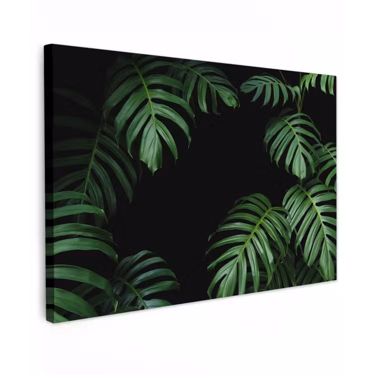 Canvas schilderij - Jungle - Planten - Monstera - Jongens - Meisjes - Kinderen — 1