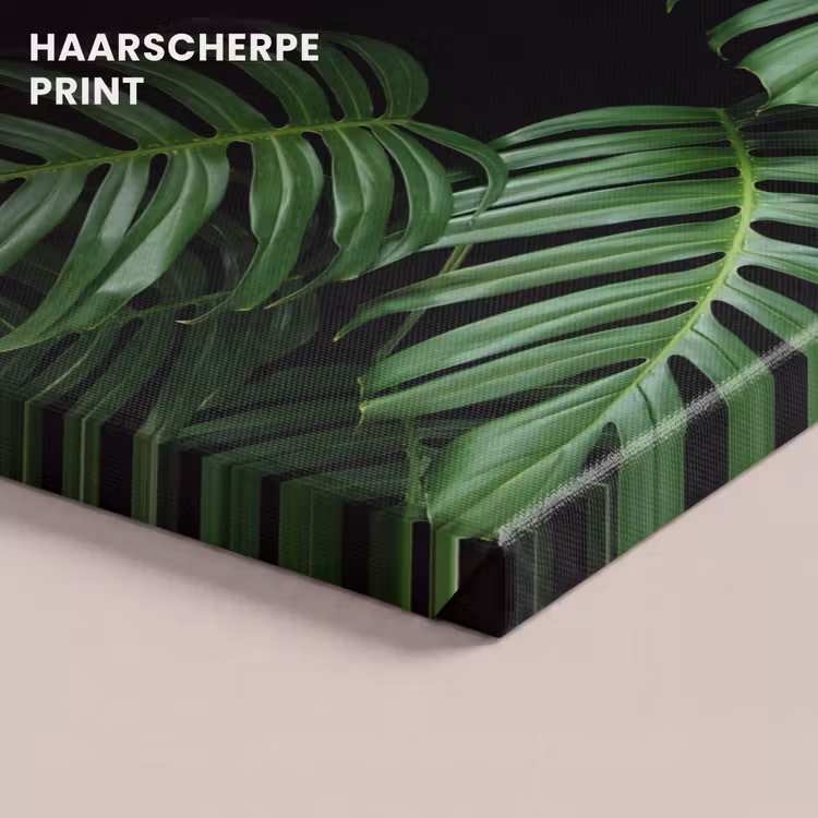Canvas schilderij - Jungle - Planten - Monstera - Jongens - Meisjes - Kinderen — 5