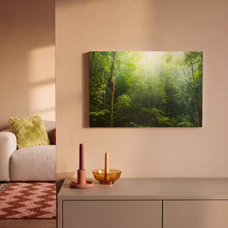 Canvas schilderij - Jungle - Zonlicht - Groen - Meisjes - Kinderen - Jongens — 2