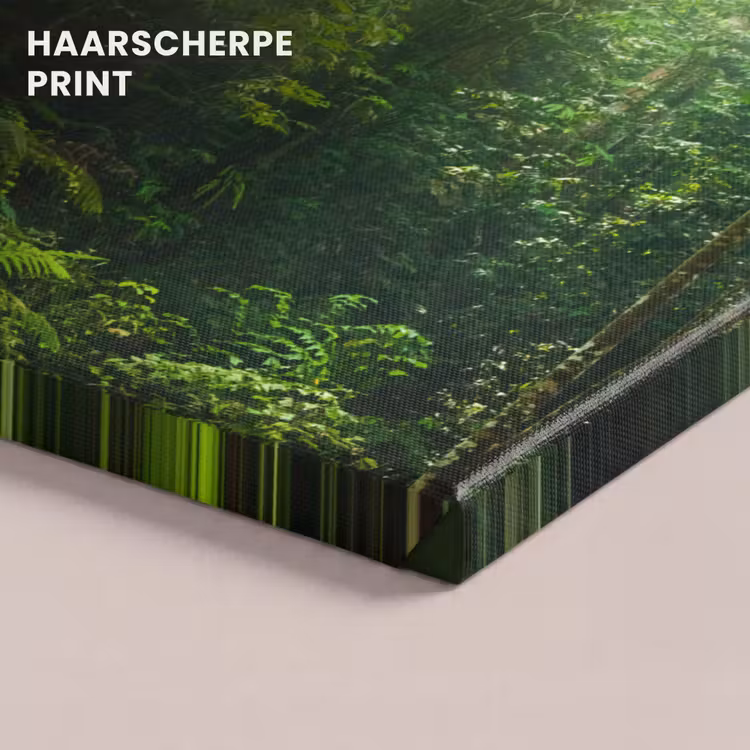 Canvas schilderij - Jungle - Zonlicht - Groen - Meisjes - Kinderen - Jongens — 5