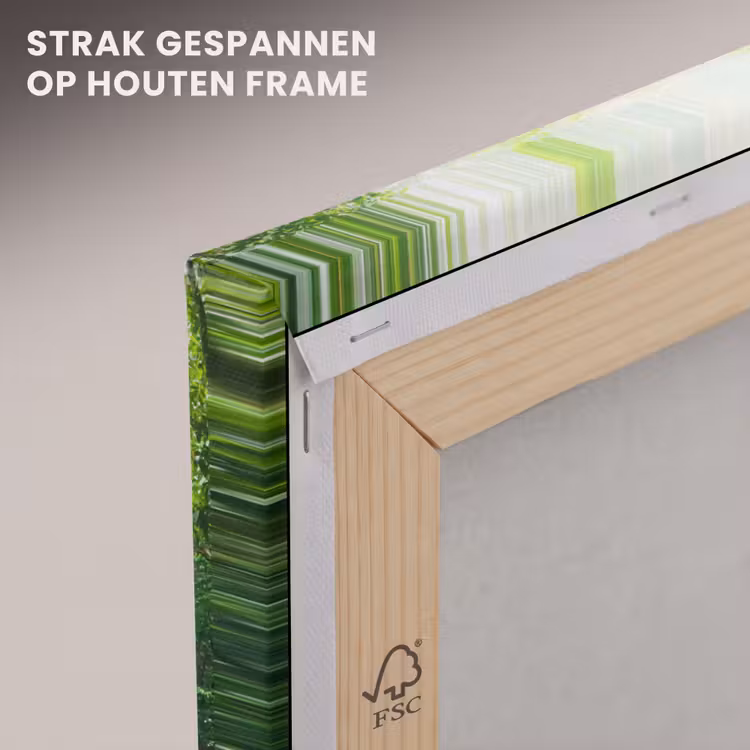 Canvas schilderij - Jungle - Zonlicht - Groen - Meisjes - Kinderen - Jongens — 7