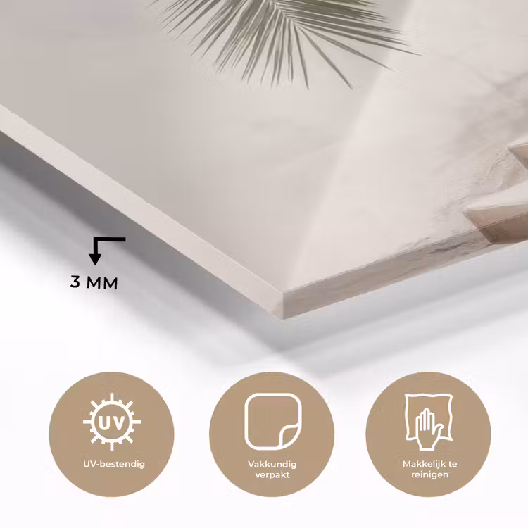 Glas schilderij - Palmboom - Schaduw - Trap - Beige — 3