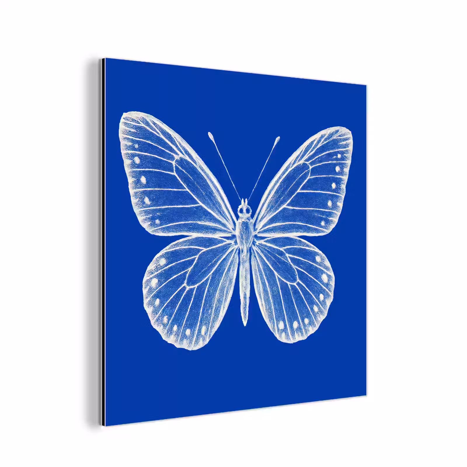 Aluminium schilderij - Vlinder - Wit - Getekend - Stippen — 1