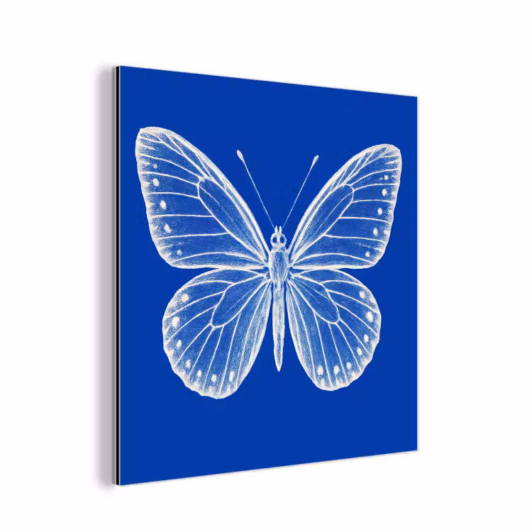 Aluminium schilderij - Vlinder - Wit - Getekend - Stippen — 1