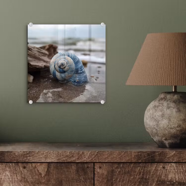 Glas schilderij - Schelp - Strand - Blauw - Zee — 4