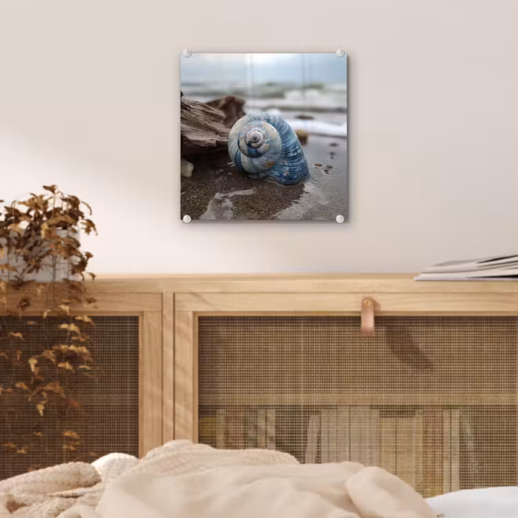 Glas schilderij - Schelp - Strand - Blauw - Zee — 5