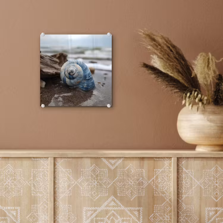 Glas schilderij - Schelp - Strand - Blauw - Zee — 6