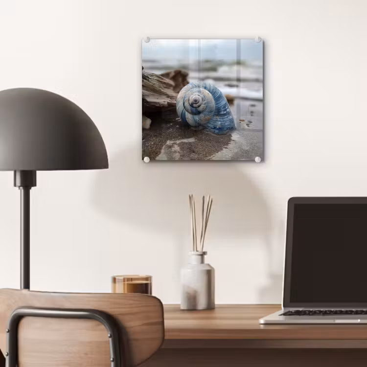 Glas schilderij - Schelp - Strand - Blauw - Zee — 7