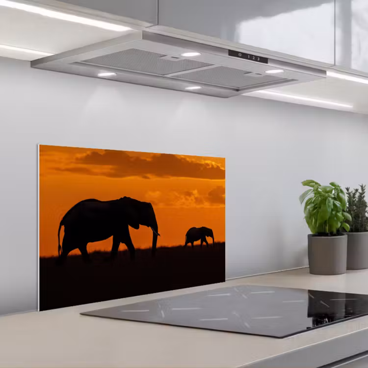 Spatscherm keuken - Olifanten - Savanne - Zonsondergang — 4