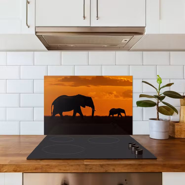 Spatscherm keuken - Olifanten - Savanne - Zonsondergang — 5