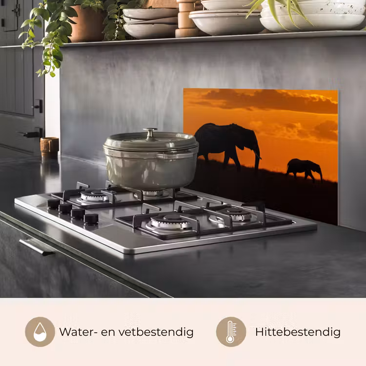 Spatscherm keuken - Olifanten - Savanne - Zonsondergang — 6