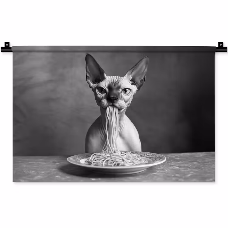Wandkleed - Sphynx - Kat - Dieren - Humor - Spaghetti - Zwart Wit — 1
