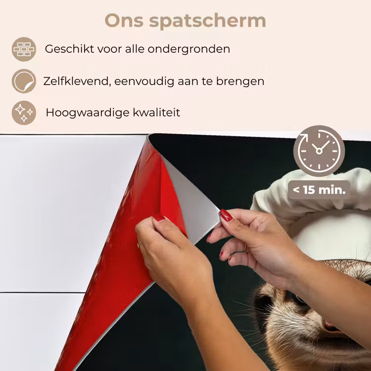 Spatscherm keuken - Dier - Kok - Stokstaartje — 4