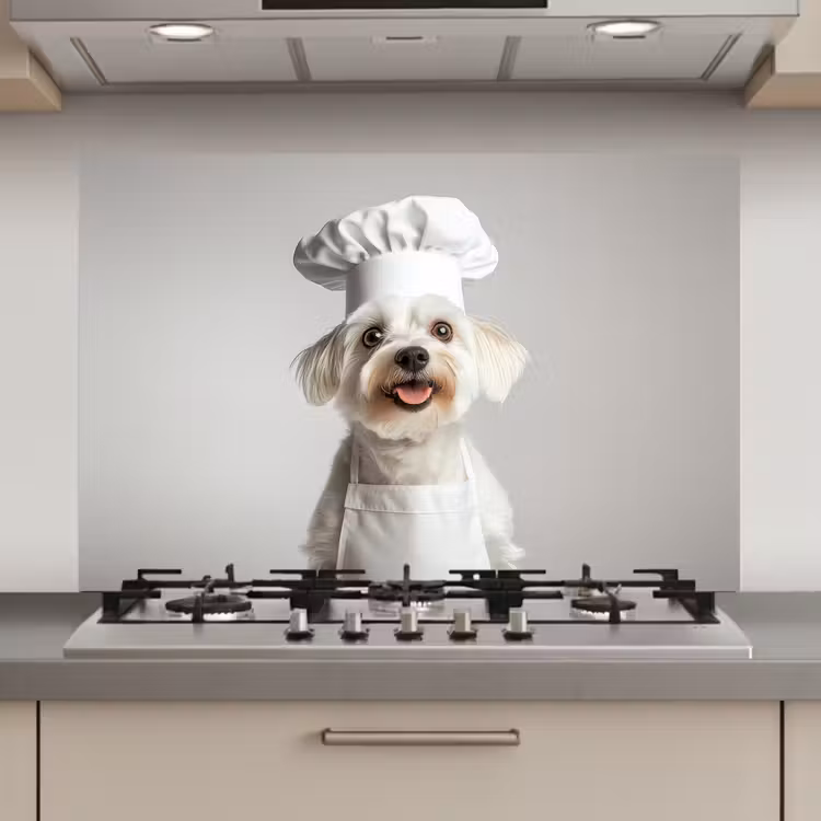 Spatscherm keuken - Hond - Wit - Kok — 1