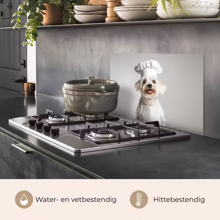 Spatscherm keuken - Hond - Wit - Kok — 7